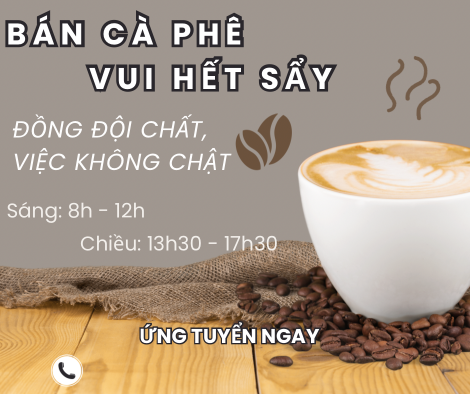 lĩnh vực hoạt động